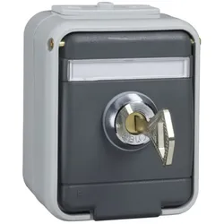 Elso AP-Steckdose 455029