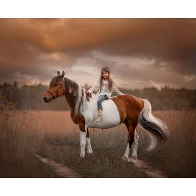 Papermoon "PINTO PONY-PFERD MÄDCHEN SCHECKE TIER MINI INDIAN"