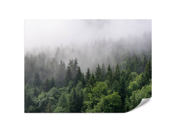 FOTOTAPETE für Wohnzimmer Nadelbäume Nebelwald Grün 200x140