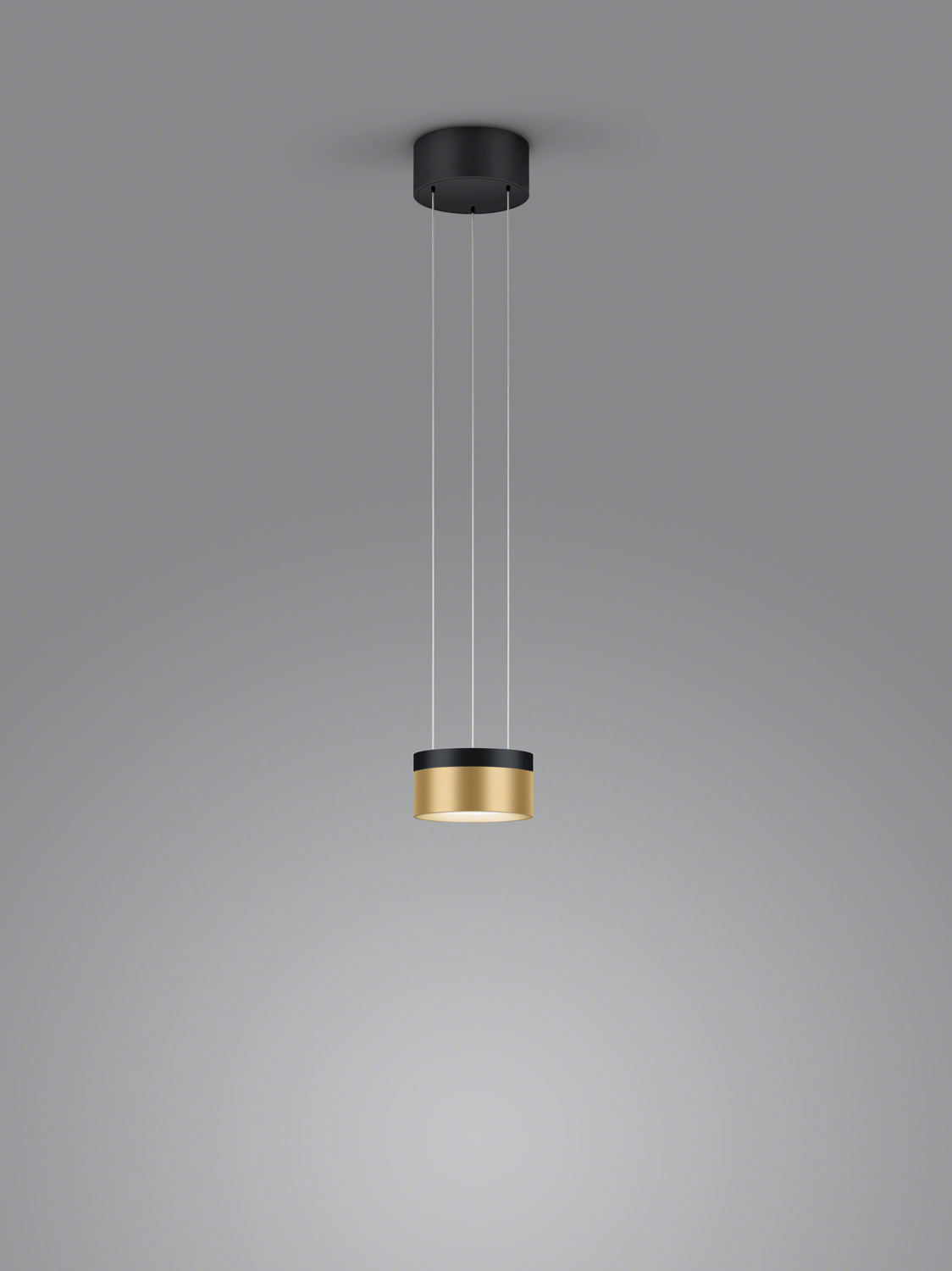 Helestra LED-Pendelleuchte ODA Schwarz/Gold 6-5086.28 4022671118736