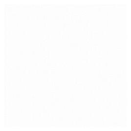 AllParts AP PG 0095-025 PG roh 1-l. weiss (Instrumenten Ersatzteile) (47163975)
