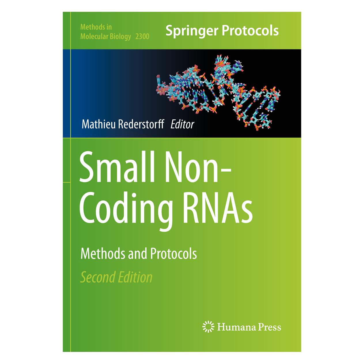 Springer Small Non-Coding RNAs (Englisch, Softcover) (56829716)