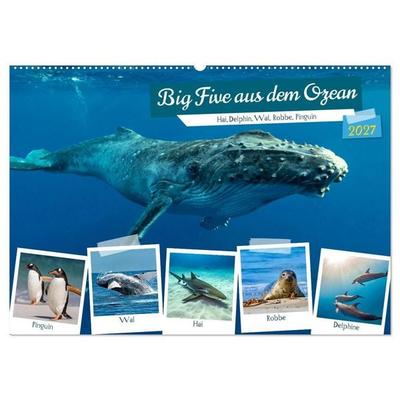 Big Five aus dem Ozean Hai, Delphin, Wal, Robbe, Pinguin (Wandkalender 2027 DIN A2 quer), CALVENDO Monatskalender
