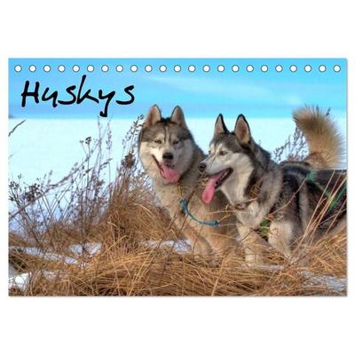 Huskys (Tischkalender 2027 DIN A5 quer), CALVENDO Monatskalender