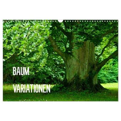 Baum-Variationen (Wandkalender 2027 DIN A3 quer), CALVENDO Monatskalender