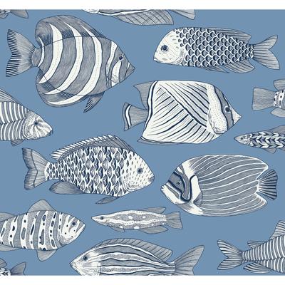 A-Street Prints Wailea Sky Blue Tropical School Wallpaper