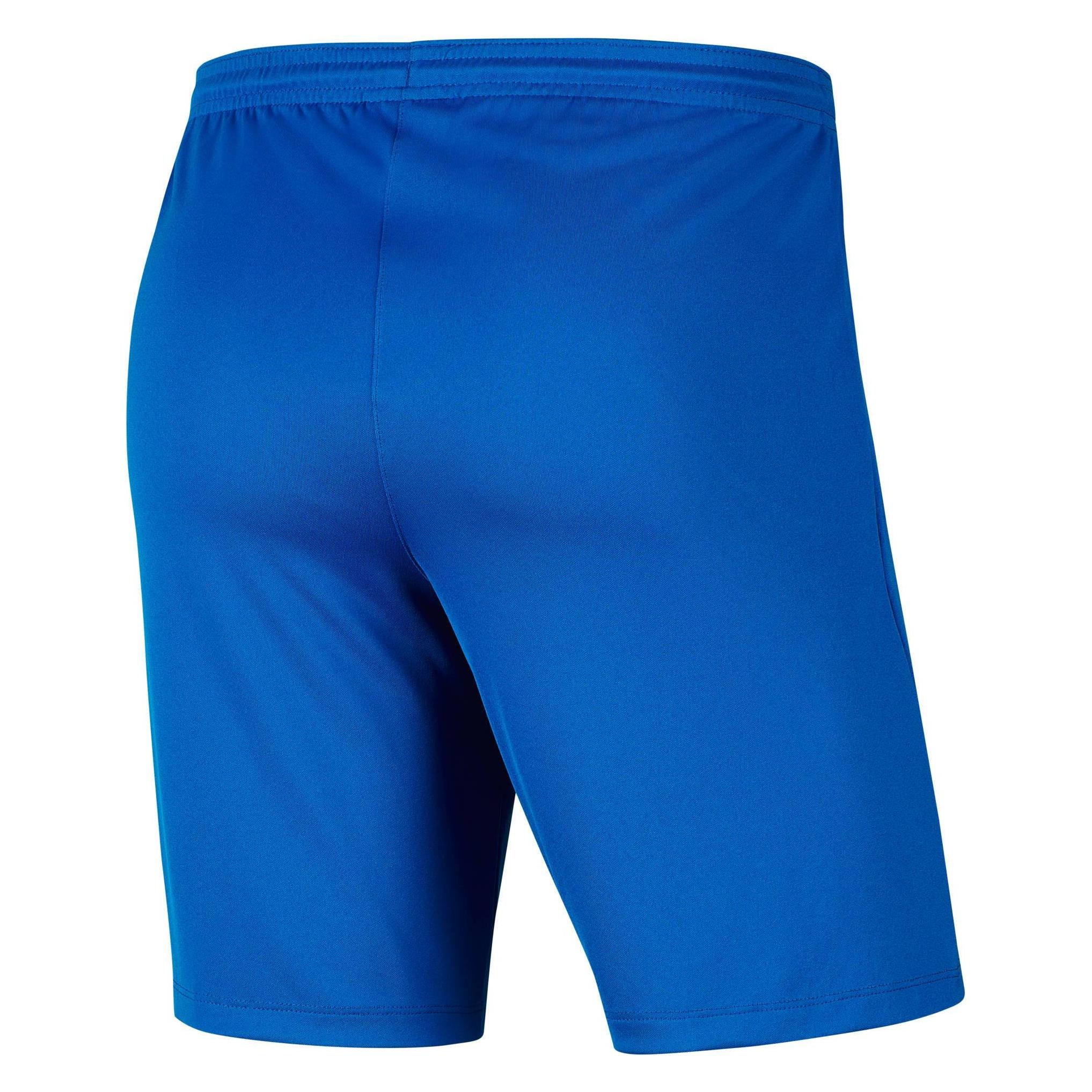Nike Park Iii Short (L) (BV6855)