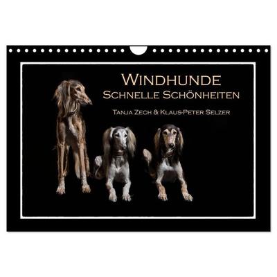 Windhunde - Schnelle Schönheiten (Wandkalender 2027 DIN A4 quer), CALVENDO Monatskalender