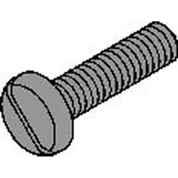 Schroff Schraube 21100006 (VE100)