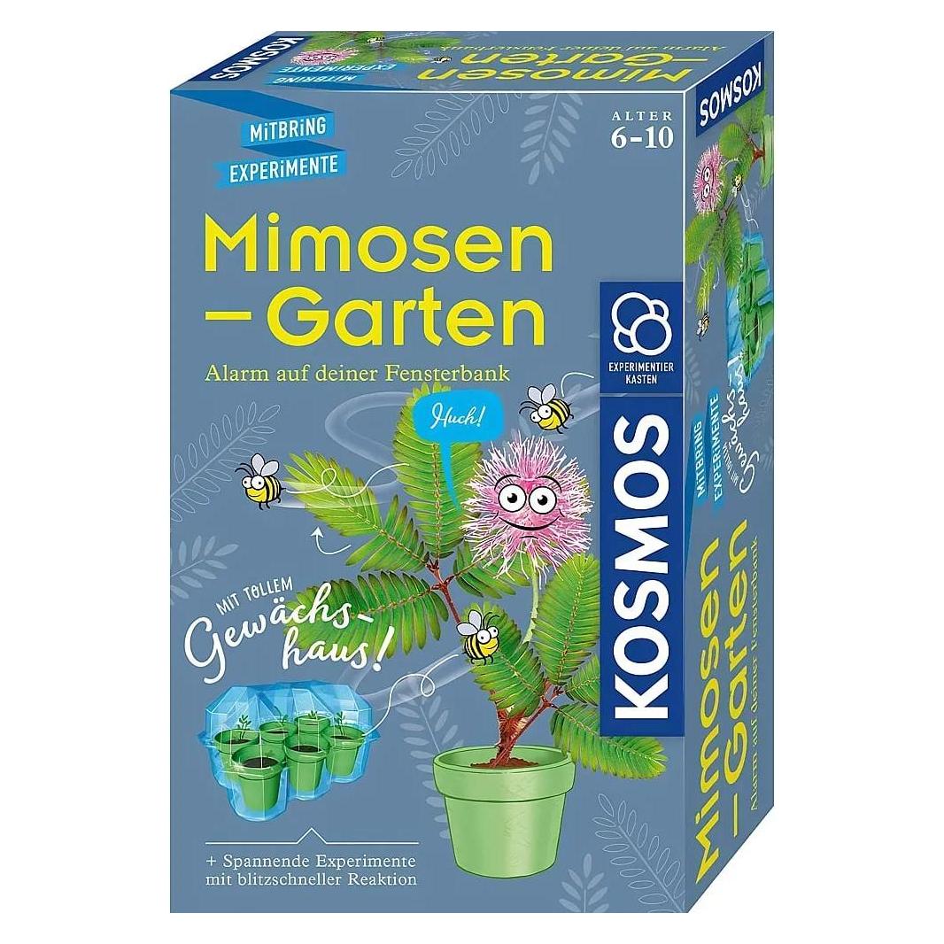 Kosmos Mimosen-Garten (657802)