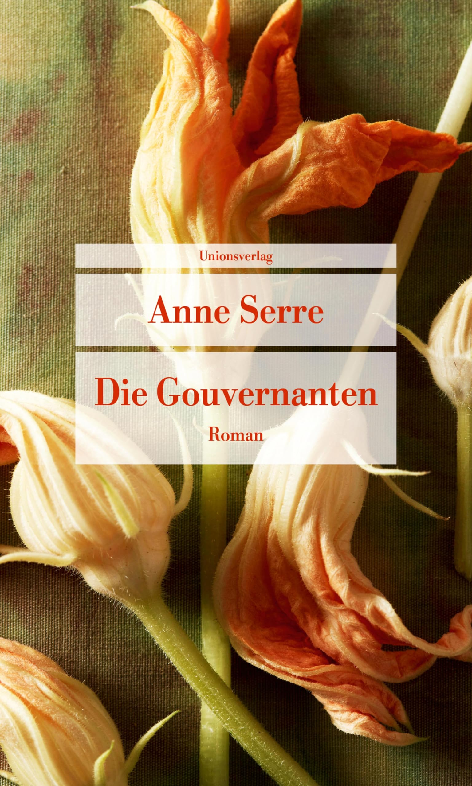 Anne Serre - Die Gouvernanten: Roman (Unionsverlag Taschenbücher) - Preis vom 04.10.2026 03:51:26 h