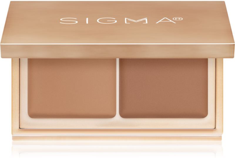Sigma Beauty Spectrum Color-Correcting Duo creamy concealer shade Medium to Dark 1.52 g