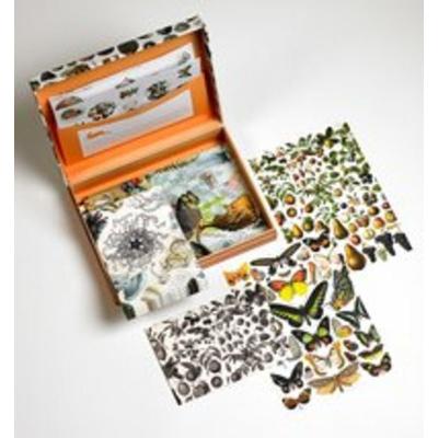 Briefpapier Natural History