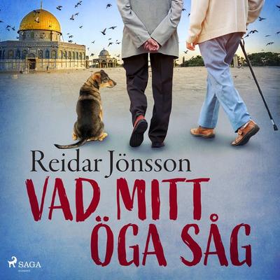 Vad mitt öga såg - Reidar Jönsson, Audio, 9788726404500