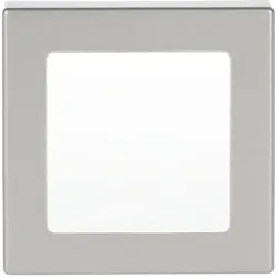 Busch-Jaeger 1716-866 Zentralscheibe Busch-Infolicht® edelstahl - pur edelstahl 2CKA001731A1955 1716866