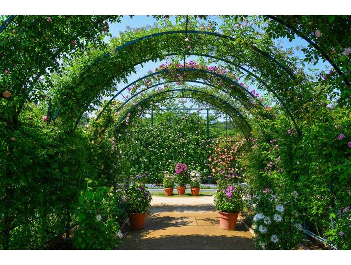 Papermoon Garten