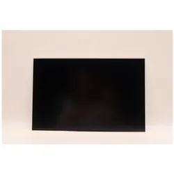 Lenovo DISPLAY AUO 14.0 WUXGA AG, Notebook Ersatzteile