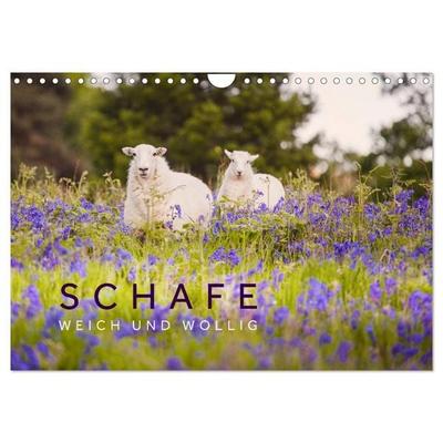 Schafe - Weich und wollig (Wandkalender 2026 DIN A4 quer), CALVENDO Monatskalender