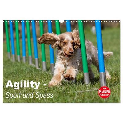 Agility - Sport und Spass (Wandkalender 2026 DIN A3 quer), CALVENDO Monatskalender
