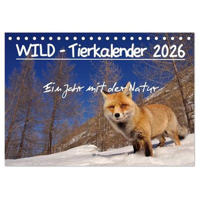 WILD - Tierkalender 2026 (Tischkalender 2026 DIN A5 quer), CALVENDO Monatskalender