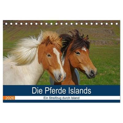 Die Pferde Islands - Ein Streifzug durch Island (Tischkalender 2026 DIN A5 quer), CALVENDO Monatskalender