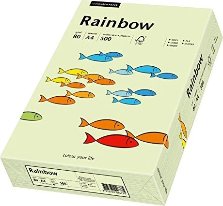 Rainbow Kopierpapier COLOURED PAPER hellgrün DIN A4 80 g/qm 500 Blatt