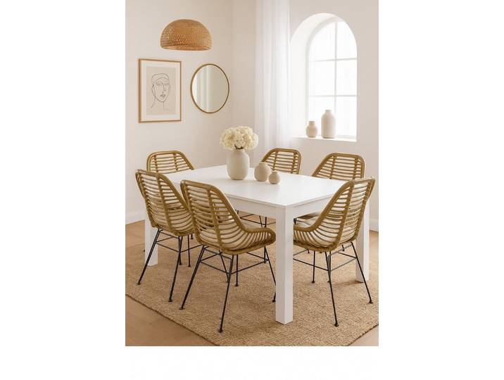 moebel-direkt-online Essgruppe Tischgruppe bestehend aus einem großen Esstisch 160x90 cm und Stühlen, (Spar-Set)