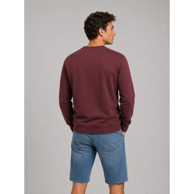 Airforce Gem1178 bitter chocolate white sweater airfo