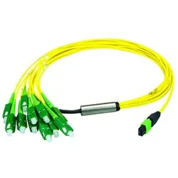 Telegärtner MPO/MTP Aufteilkabl gb 10m 100011109