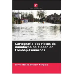 Various Publishers, Landkarte, Cartografia dos riscos de inundação na cidade de Fombap-Camarões