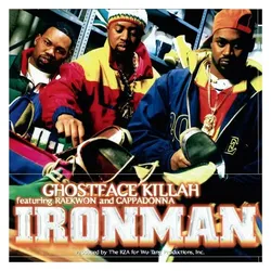 Sony Music, Wandtattoo, Ironman (VINYL)