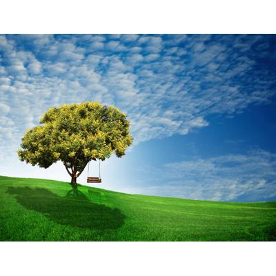 Fototapete PAPERMOON "Goldener Regenbaum", bunt, B:3,5m L:2,6m, Vlies, Tapeten