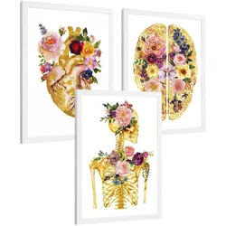POSTER Set aus 3 Anatomie Mensch Drucke und Wandbilder mit Herz Gehirn und Skelett Goldenes Florales Design Wanddekoration Größe Weißer Rahmen A4