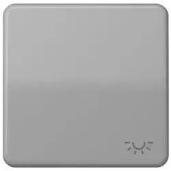 Wippe mit Symbol "Licht" (grau)