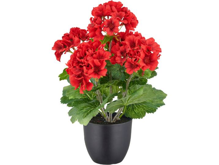 Kunstpflanze CREATIV GREEN Geranie , rot, H:36cm, Kunststoff, Kunstpflanzen, Kunstpflanze, in UV-beständiger Ausführung