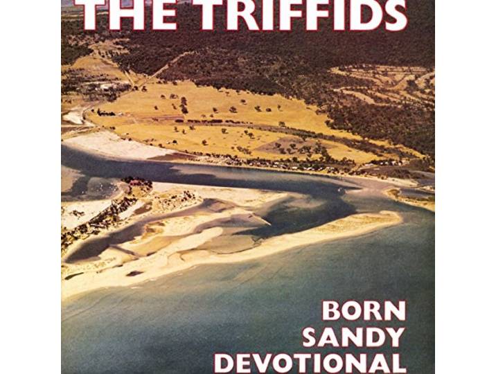 The Triffids - Born Sandy Devotional