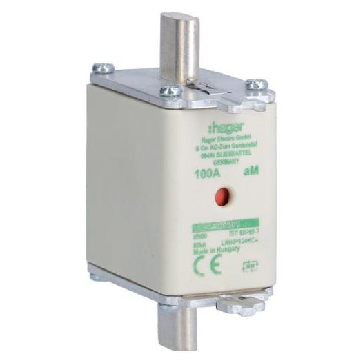 Hager LNH00100M6A (100 A) (LNH00100M6A)