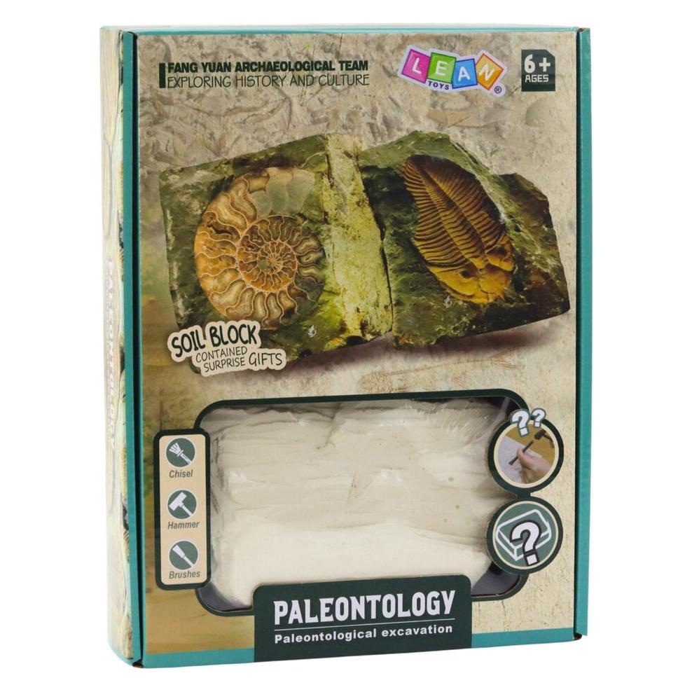 Lean Toys Paläontologisches Ausgrabungsset Gipsblockwerkzeuge (65613462)