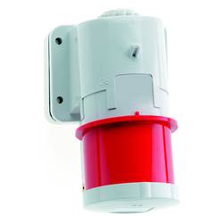 Bals Elektrotechnik 24414 24414 CEE Anbaustecker 16.0 A 5polig 400 V 1 St.