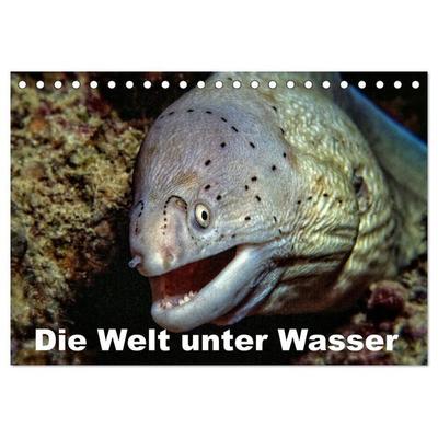 Die Welt unter Wasser (Tischkalender 2027 DIN A5 quer), CALVENDO Monatskalender