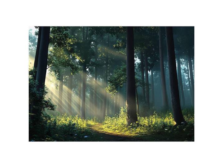 FOTOTAPETE Wald Sonne Natur Wohnzimmer Vlies Tapete 200x140