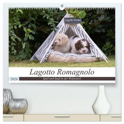 Lagotto Romagnolo - Spiel und Spaß in der Welpenzeit (hochwertiger Premium Wandkalender 2026 DIN A2 quer), Kunstdruck in Hochglanz