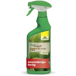 Neudorff BioKraft Vitalkur für Buxus und Ilex AF - 500 ml