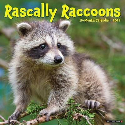 Rascally Raccoons 2027 12 X 12 Wall Calendar