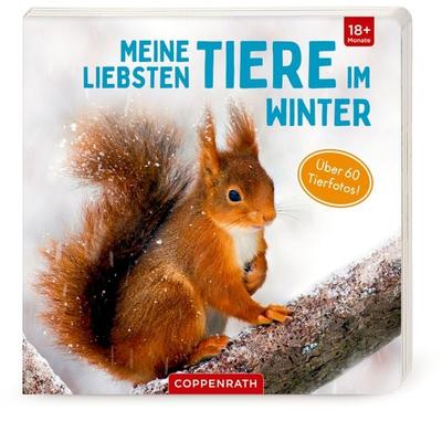 Meine liebsten Tiere im Winter, Gebundene Ausgabe von , Coppenrath, 978-3-649-63919-0