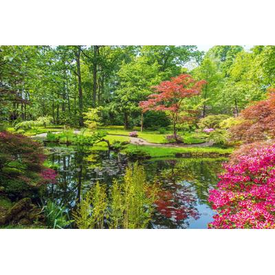 Fototapete PAPERMOON "GARTEN-BLUMEN BÄUME PFLANZEN STEINE WALD PARK BLÜTEN", bunt, B:2,5m L:1,86m, Vlies, Tapeten