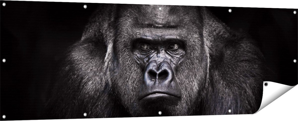 Gards Tuinposter Gorilla - Zwart Wit - 180 x 60 cm - Tuindecoratie en Wanddecoratie voor buiten