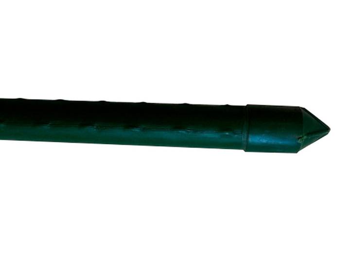 Qualité & Prix Pflanzenstab 300 × 2 cm