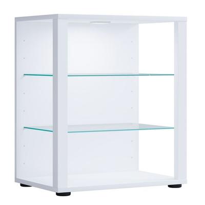 Holz Glas Stand Vitrine Sammelvitrine Glasol S