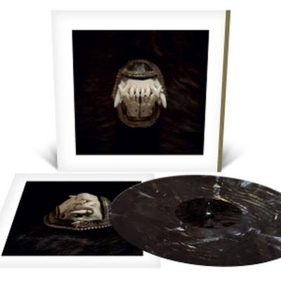 De Toorn - Amenra, Vinyl